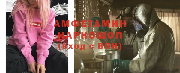 spice Богородицк