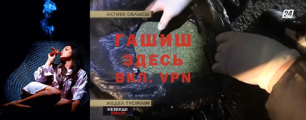spice Богородицк