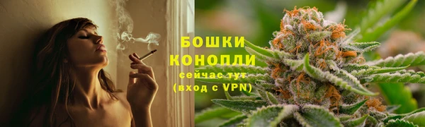 каннабис Богданович