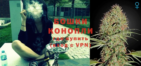 spice Богородицк