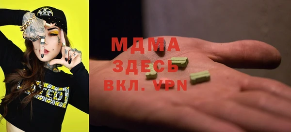 spice Богородицк