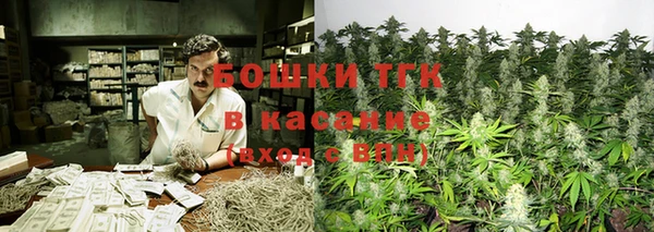 каннабис Богданович