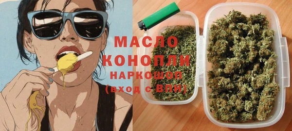 spice Богородицк