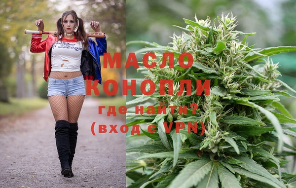spice Богородицк