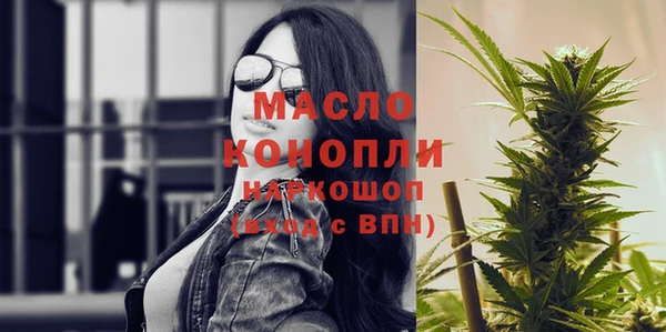 spice Богородицк