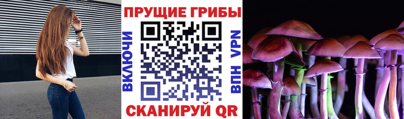 купить закладку  Полтавская  Галлюциногенные грибы ЛСД 